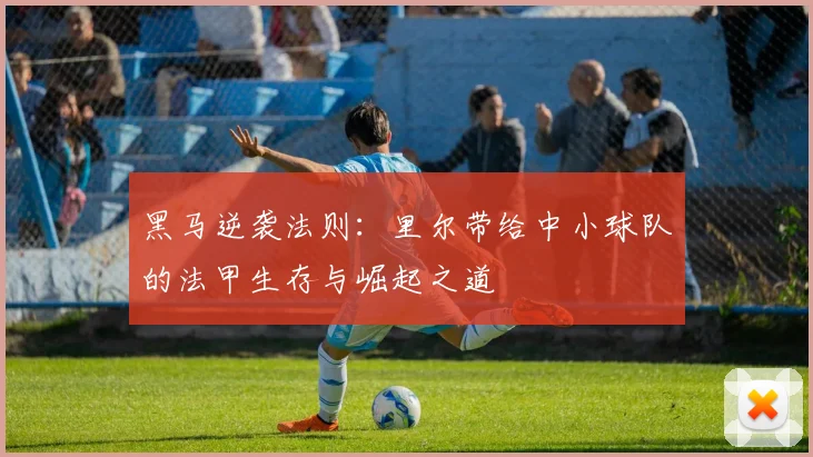 黑马逆袭法则：里尔带给中小球队的法甲生存与崛起之道