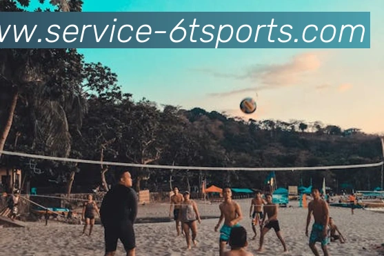 6T体育平台生态图